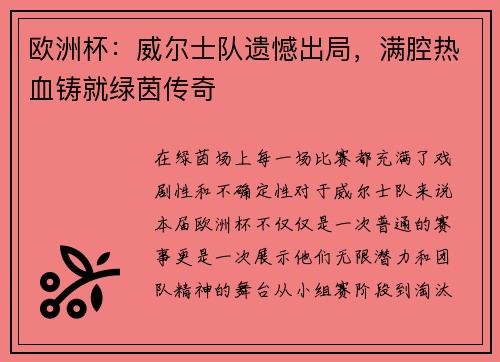 欧洲杯：威尔士队遗憾出局，满腔热血铸就绿茵传奇