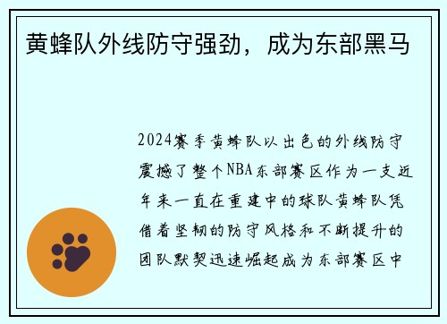 黄蜂队外线防守强劲，成为东部黑马